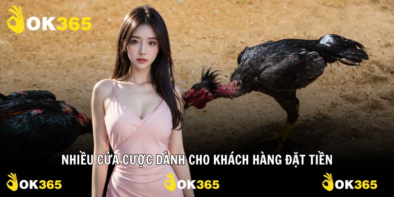 Nhiều cửa cược dành cho khách hàng đặt tiền